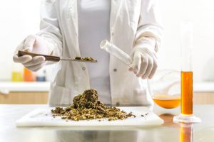 research more cbd use