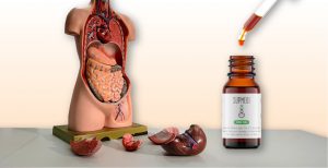cbd oil intestines stomach ulcer