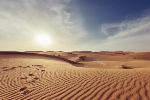 CBD argan zalf tegen droge huid