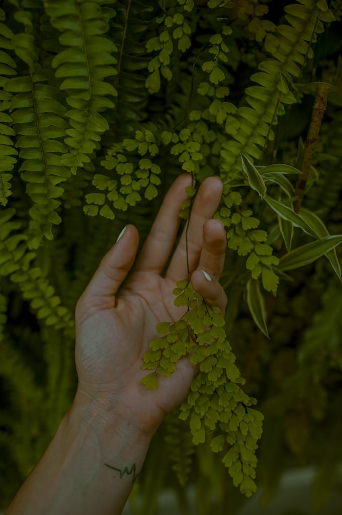 Beste huidverzorging met cbd arganzalf