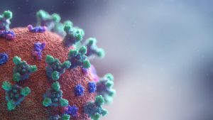 Hanföl Coronavirus Schub Immunsystem