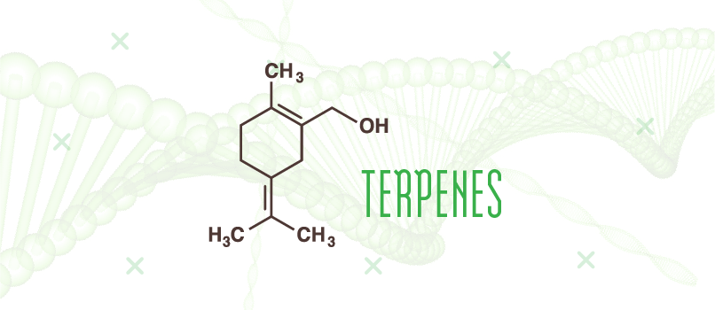 terpenes
