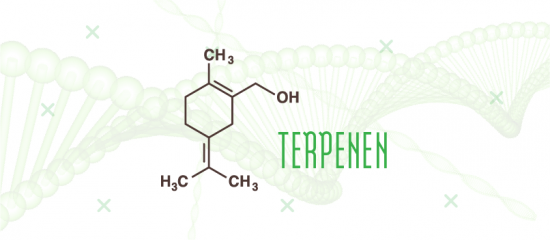 Terpenen