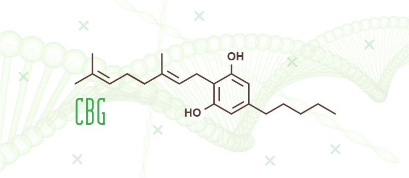 CBD Hanf-Öl CBG