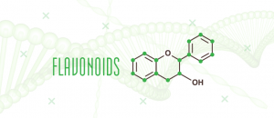 flavonoides