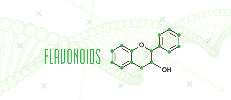 flavonoids