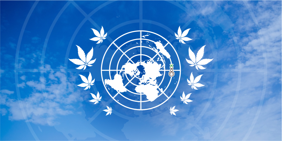 un cannabis advice