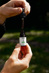 huile cbd oil chats chiens stress agressivité