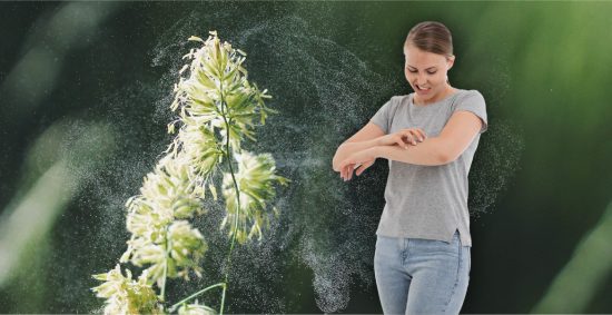 cbd oil allergies