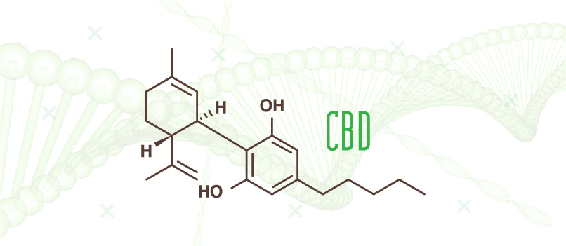 cannabidiol cluster hoofdpijn