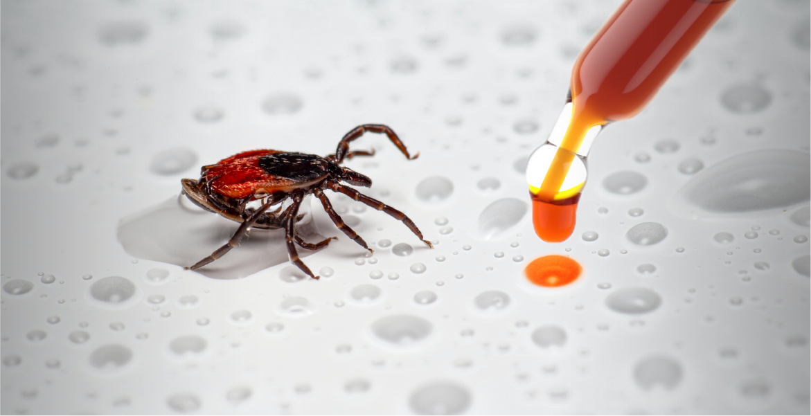 cbd oil ticks lyme disease