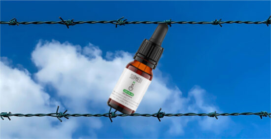 cbd oil harmful