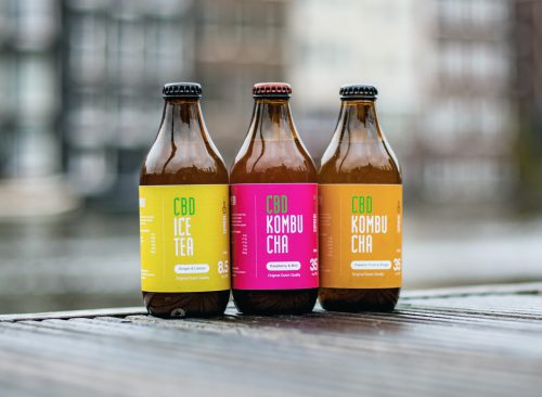 CBD Kombucha drink