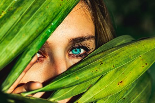 CBD glaucoma treatment